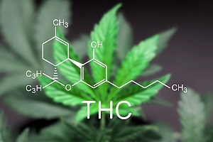 thc chemical composition of weed molecule