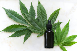 process of producing cannabis oil can be time consuming
