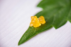 cannabis resin on a weed leaf