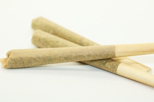 pre rolled blunt of cannabis 