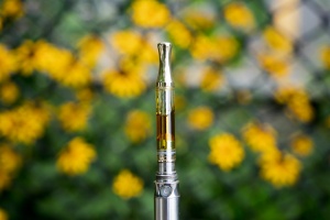 Cannabis Cartridges sitting in a field with flowers