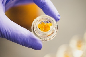 person holding a small amount of Cannabis Resin