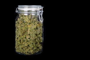 cannabis flower in a jar with black backgrounds