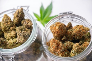 cannabis flower stored in a jar