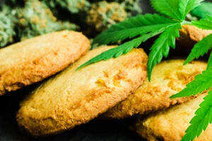 Cannabis edibles Cookies with Cannabis Leaves