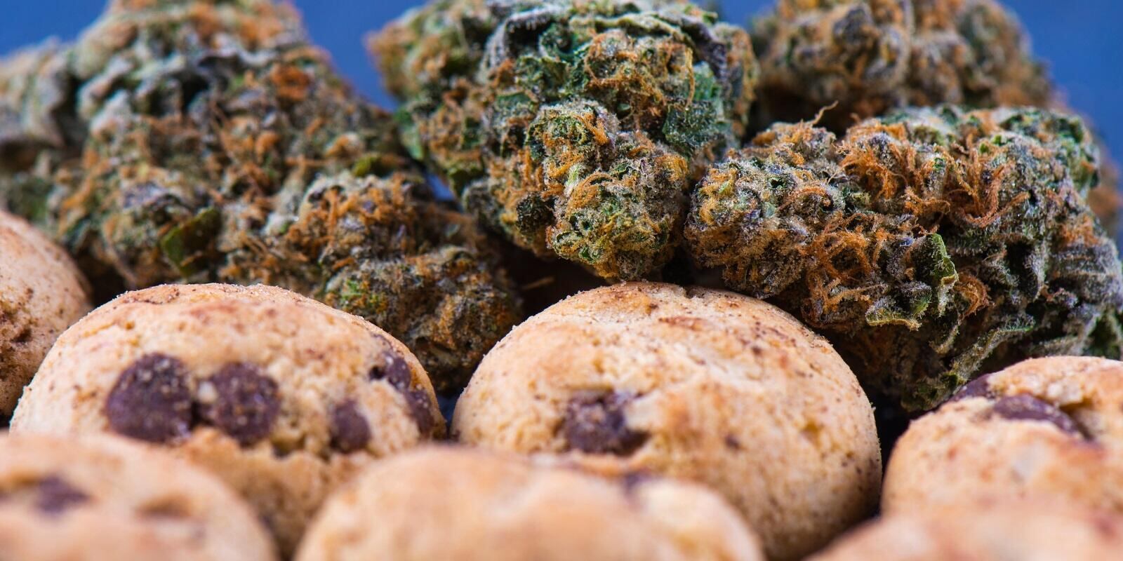 Cannabis Nugs with Cannabis Edibles Cookies