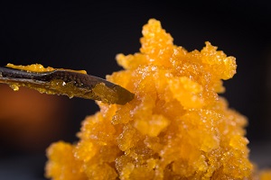 macro detail of cannabis concentrate live resin