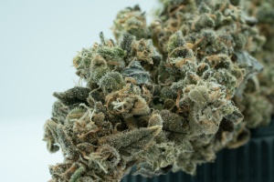 close up of bud that is Cannabis Strains For Relaxation