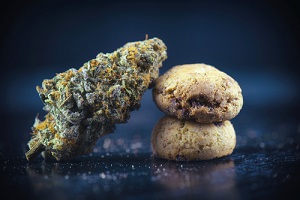 cannabis flower nug over infused chocolate chips cookies