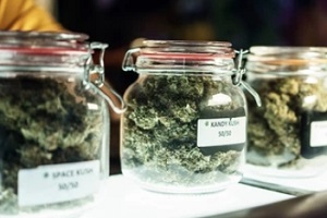 cannabis edibles in jars