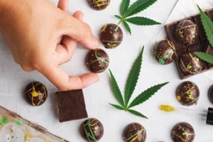 hand selecting from THC infused chocolate edibles