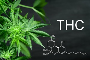 THC chemical compound