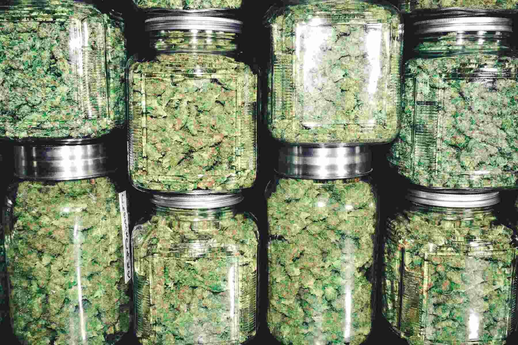 dispensary marijuana in large mason glass jars