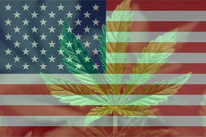 A,Beautiful,Marijuana,Cannabis,Leaf,On,The,Us,Flag,And