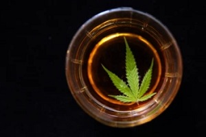 cannabis-leaf-under-alcohol-glass