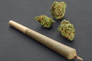 marijuana-pre-roll-with-cannabis