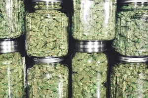 cannabis in airtight containers