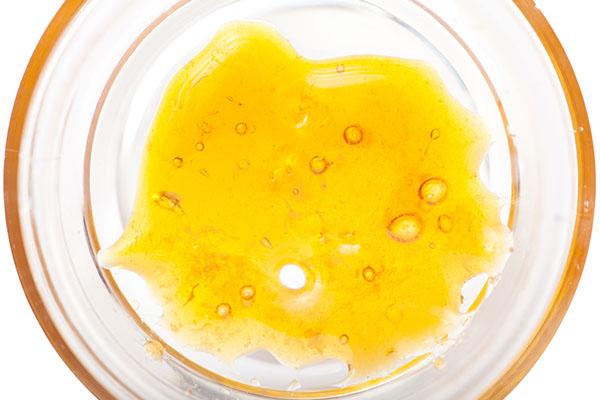 Golden Cannabis Concentrate - slab of shatter in container