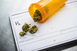marijuana nugs on doctor prescription
