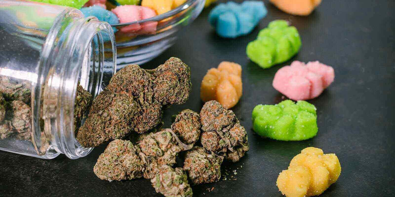 cannabis-infused-gummy-candy-bear-shapes-marijuana-flower