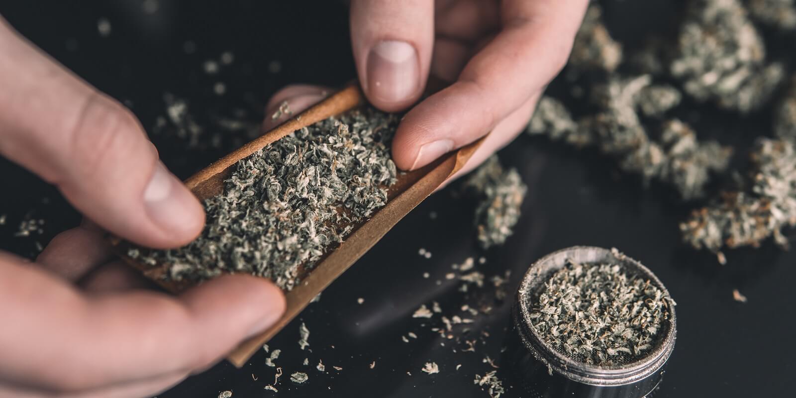 rolling a marijuana weed blunt