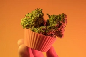 weed nugs in cupcake wrapper