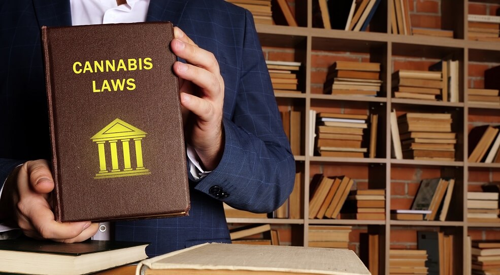cannabis law inscription on the book