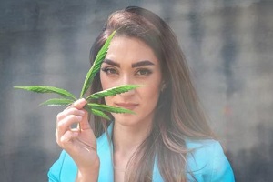 cannabis leaf in women hand