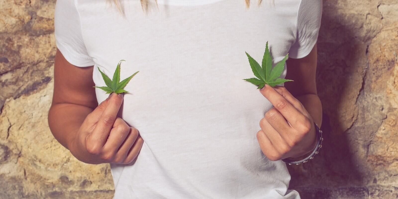 closeup of young woman holding cannabis leaves in her hands