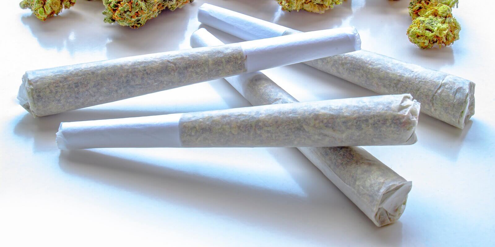 several pre-rolls of medicinal cannabis on a white surface with flower cannabis in Boston, MA