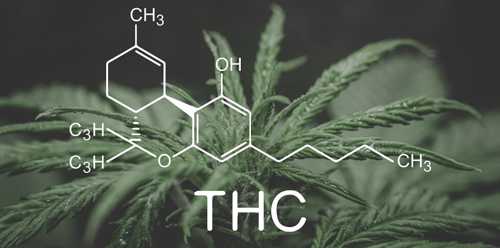 cannabinoids and health or medical marijuana