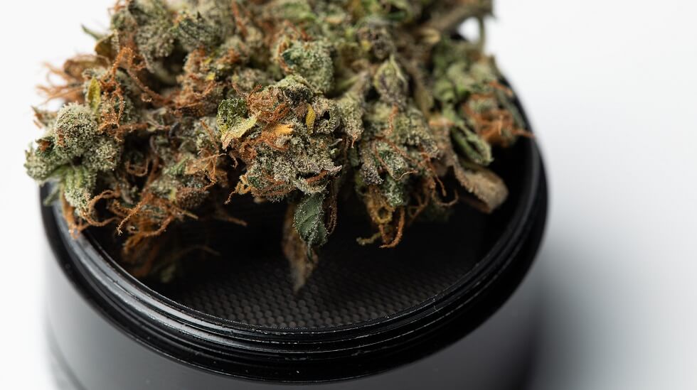 metallic black grinder with buds of marijuana, weed cannabis in Boston, MA