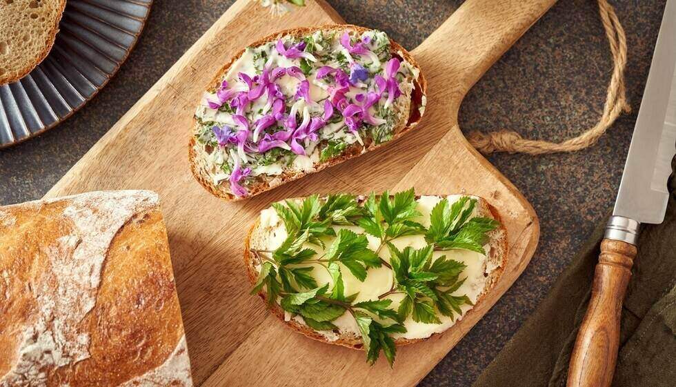 slices of bread with wild edible spring plants