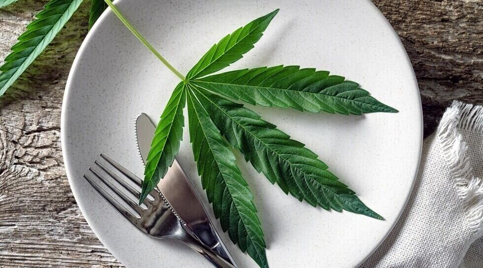 cannabis leaf on plate