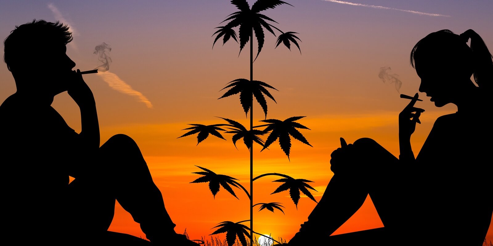 hand selecting cannabis buds from a display case in a dispensary