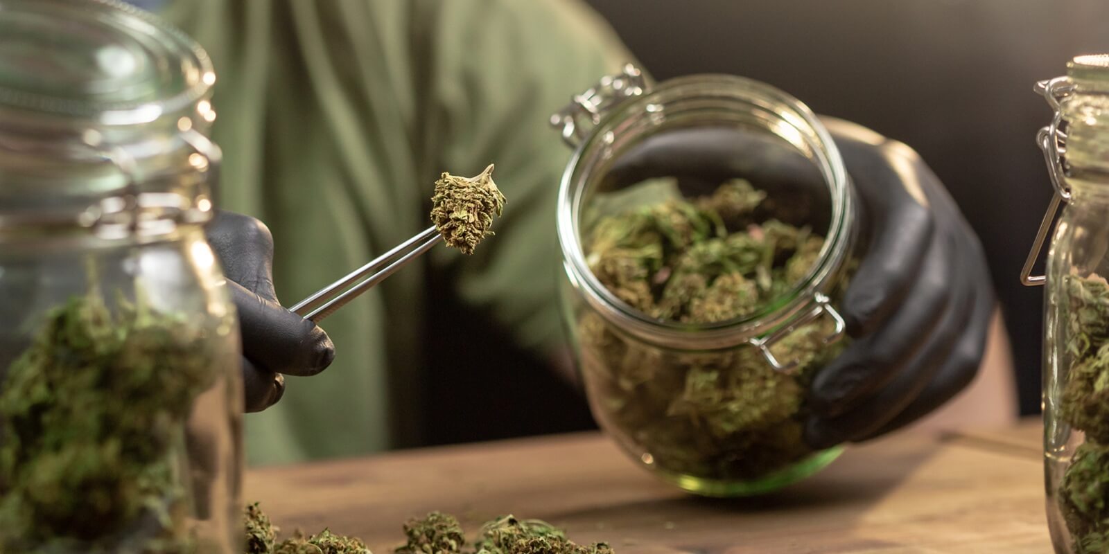 hands placing trimmed weed buds in a glass jar from boston dispensary