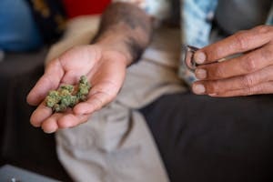 Green THCV on Hand of a Person