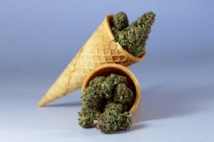 Hybrid Strains Inside Ice Cream Cone