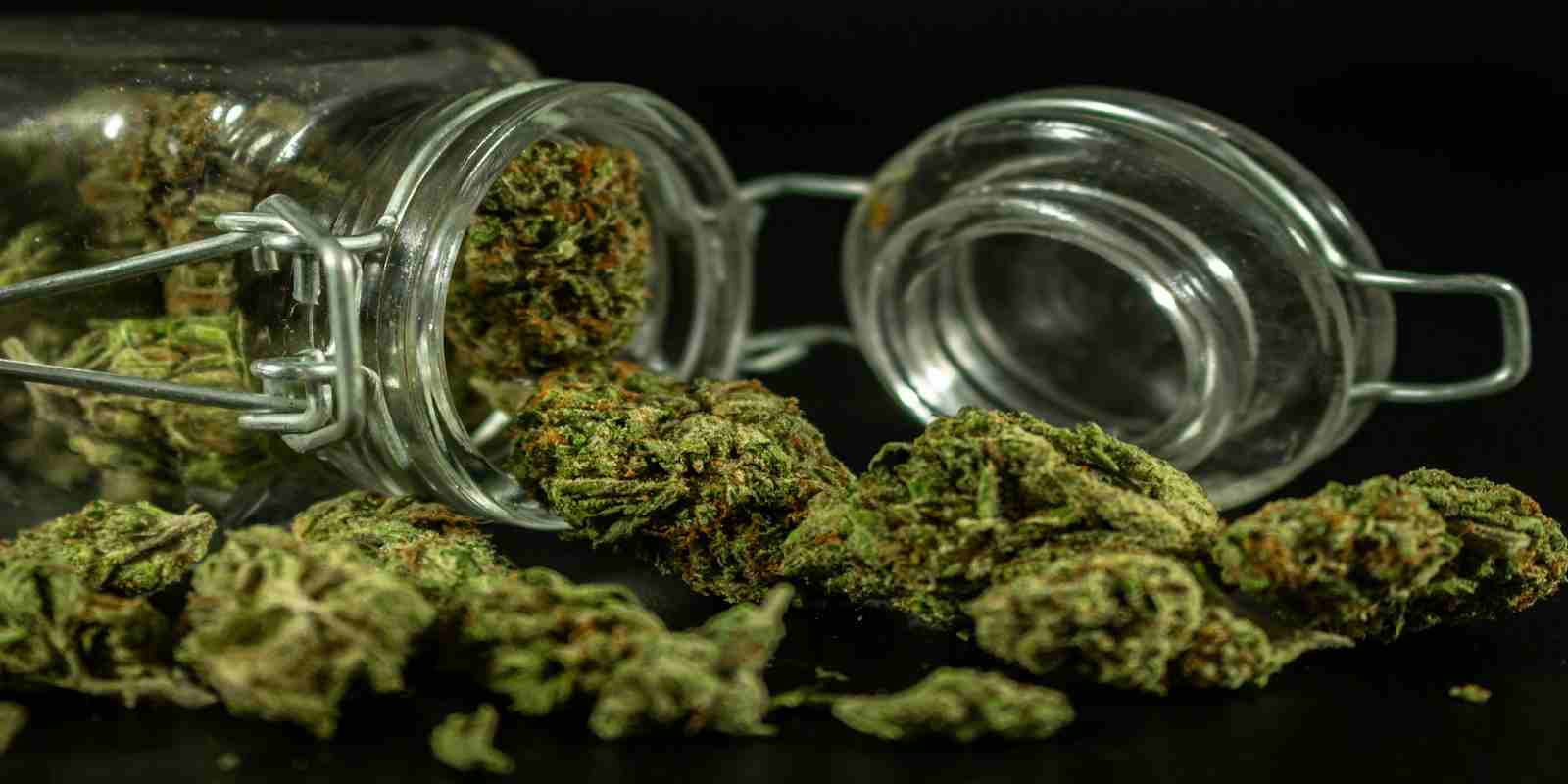 Cannabis Coming Out from Glass Jar
