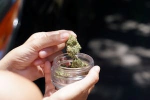 Hand Picking Weed from A Glass Jar