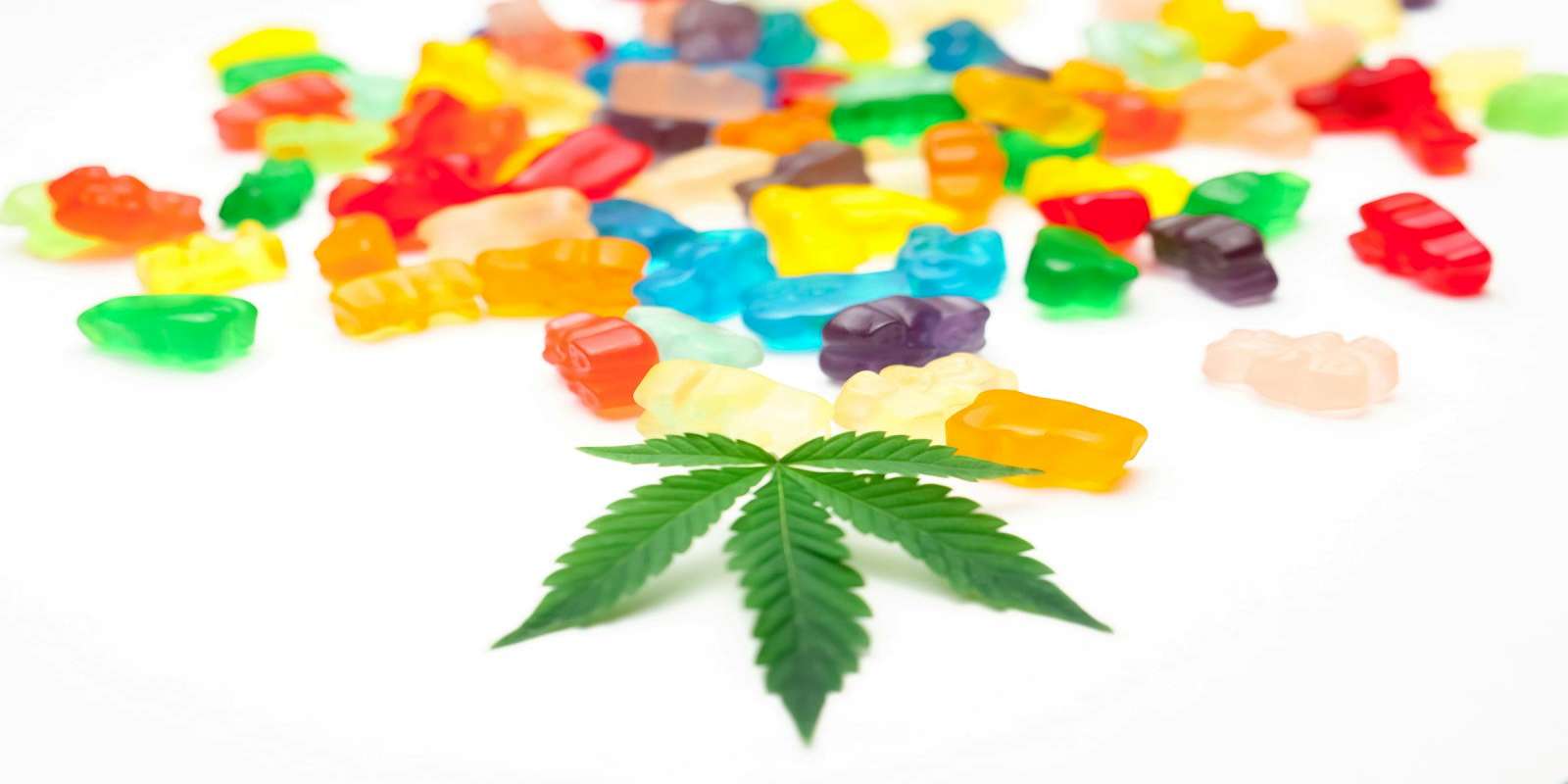 Nano weed Edibles Gummies with Cannabis Leaves from Boston dispensary