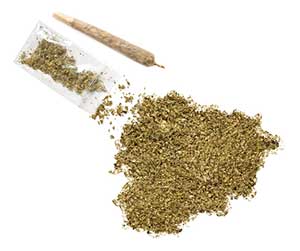 Weed-which-has-been-through-a-weed-grinder